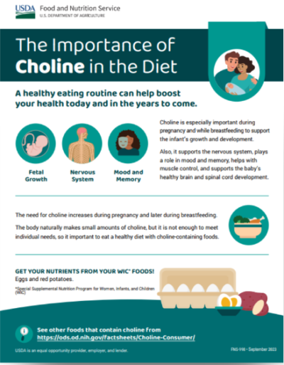 WIC Infographic screenshot - Importance of Choline in the diet
