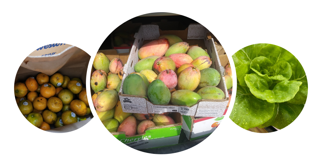3 photos: 1, a box of citrus fruit, 2, a box of mangos, 3, an image of lettuce