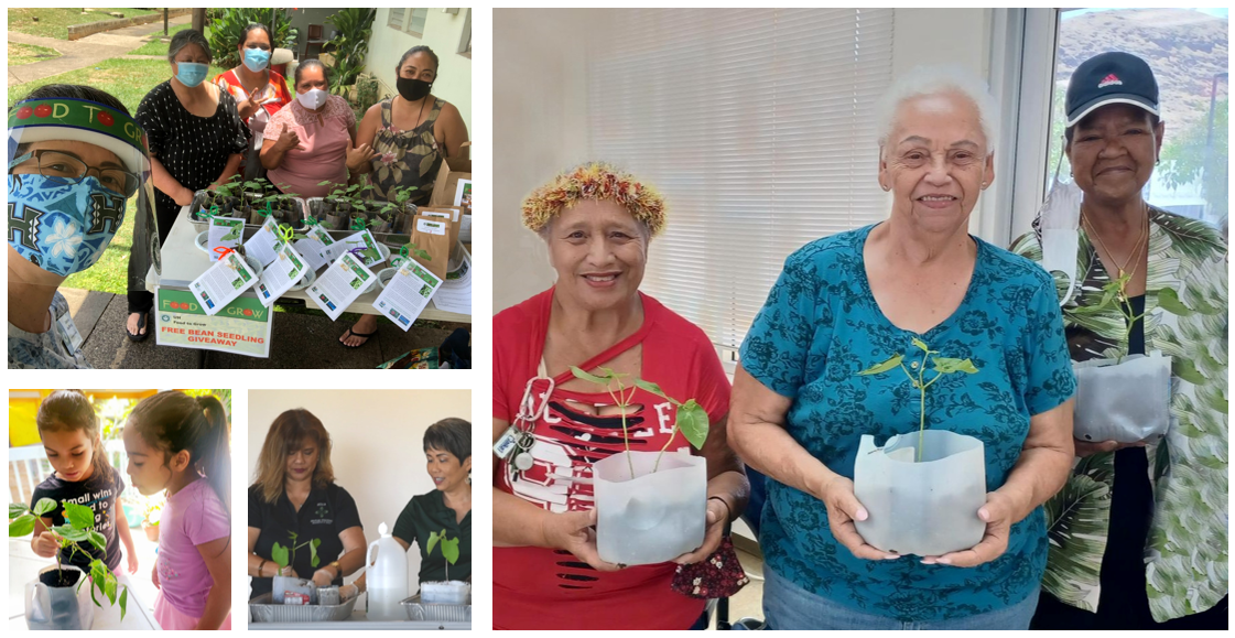 photo 1: seedling distribution with agency staff; photo 2: seniors after agency was trained and conducted their own FTG workshop; photo 3: sisters caring for transplanted seedling at home; photo 4: train-the-trainer FTG program