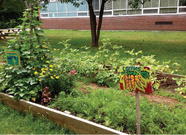 Generating Your Backyard Function - Tips For New Backyard gardeners 2