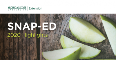 Michigan State University Extension SNAP-Ed 2020 Highlights report cover wtih apple slices