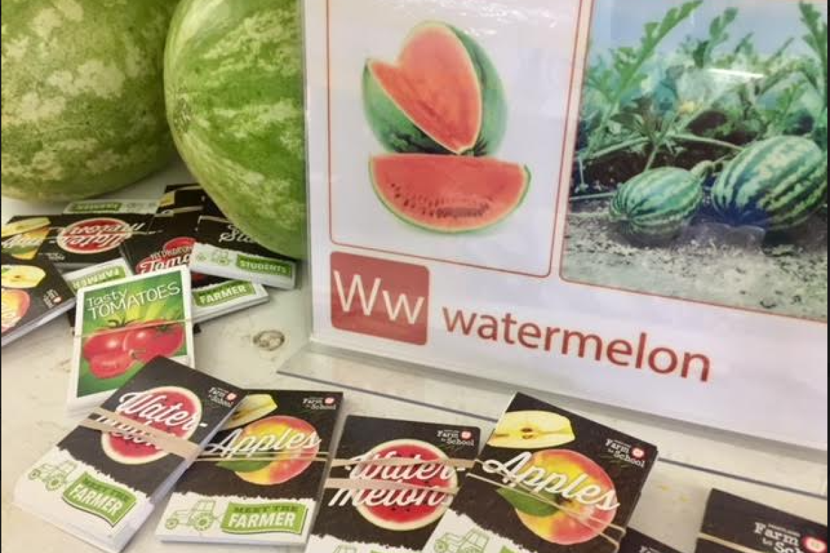 Watermelon display with watermelons in the background and other fruits and vegetable pamphlets 