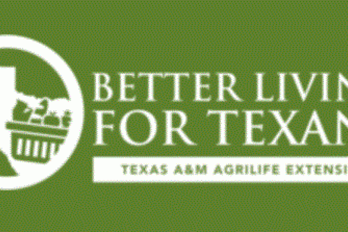 Better Living for Texans Logo with green background