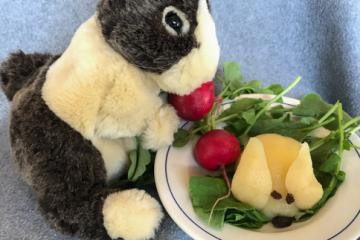 Stuffed rabbit next to a salad with a pear and radishes