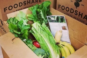 FoodShare box filled with fresh produce