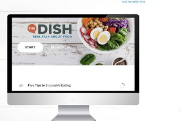Computer screen displaying The Dish program