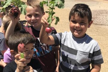 Harvest Day 2019 kids hold up radishes from the garden
