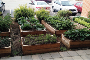 raised garden beds next to a parking lot