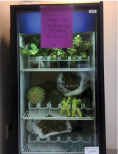 mini refrigerator of fresh vegetables and fruit with a sign feel free to distribute to any patient!