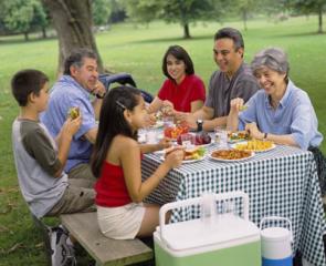 An extended family having a picnic at a park on a summer day