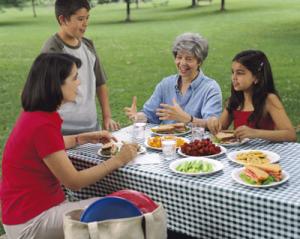 A group of family members talk during an outdoor picnic