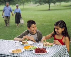 A boy and a girl talk during a picnic while grandparents walk in the background